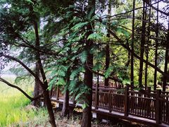 -东湖落雁景区