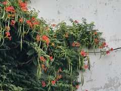 -山塘街