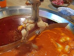 -铭记蛙小仙·活蛙畅享(CBD万达广场店)