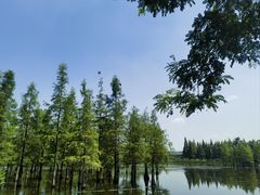 -白鹭湾湿地公园