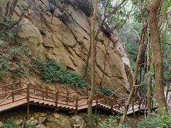 -大岭沟猕猴桃谷风景区