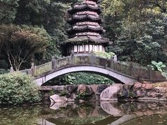 -深圳国际园林花卉博览园