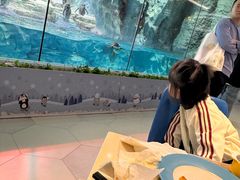 -帝企鹅自助餐厅•儿童岛•真企鹅(长隆企鹅酒店)