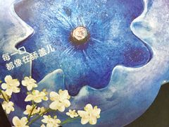 蓝莓接骨木花-乐纯(苹果社区店)
