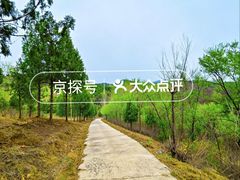 -辛安庄鸡鸣山景区