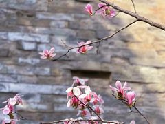 -东华门大街小区