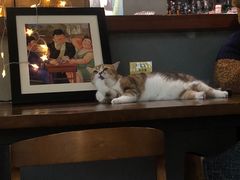 -咖法森林·咖啡  酒吧(天河店)