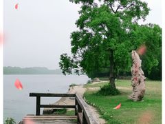 -东湖落雁景区