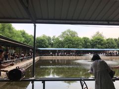 -北京上庄水库尚野露天户外自助烧烤