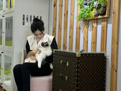 -青奢宠物·青奢猫舍