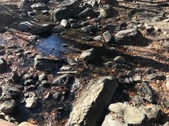 -香炉山国家森林公园