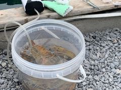 -DGE季风钓虾营地·团建·聚会