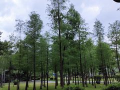 -晓港公园