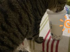 -阿嬷手作(南宁亭江步步高店)
