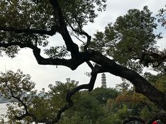 -江心屿景区