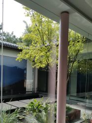 -爱儿美儿童摄影(朝阳公园店)