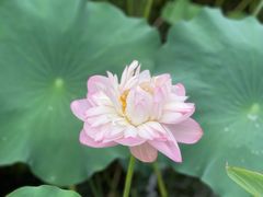 -昆山城市生态森林公园