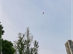 -苏州河梦清园环保主题公园