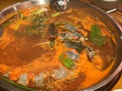 酸汤江团-新凯里酸汤鱼(飞山街店)