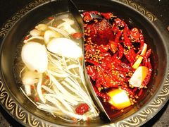 -锅说大脸毛肚重庆老火锅(佐阾店)