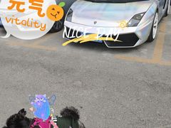 -TESLA 特斯拉(郑州正弘城体验店)