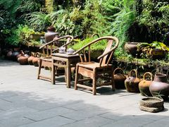 -青城甲(青城山店)