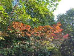 -杭州半山国家森林公园