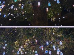 -欢乐海岸水秀剧场