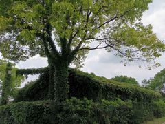 -嘉北郊野公园