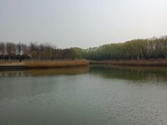 -大兴滨河森林公园