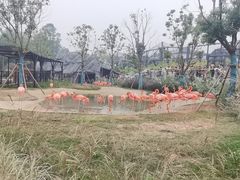 -武汉动物园