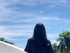 -岭南美术馆
