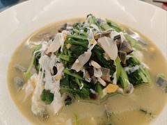 -圆苑(静安寺店)