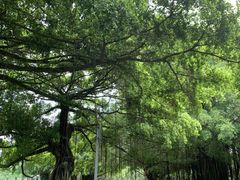 -南宁南湖公园