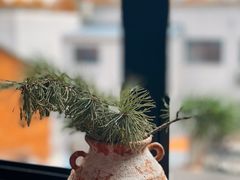 -滇野云南野生菌餐厅