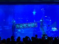 -烟台海昌鲸鲨海洋公园