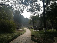 -富乐山
