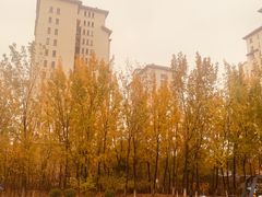 -国家动漫园