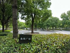 -南翔镇银翔湖公园