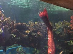-运城海洋馆