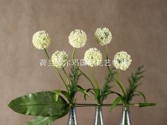 -荷兰布尔玛国际花艺学院