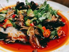 养生乌鸡爪-井水小厨·湘菜(活力广场店)