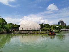 -上海吴淞炮台湾国家湿地公园