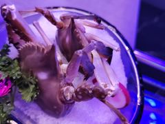 -琥珀川糟粕醋火锅(慈云寺店)