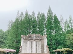 -音乐台