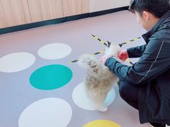 -M.S拳击泰拳馆(大学路店)