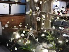 -盛江山自助料理(奥莱锦辉购物广场店)