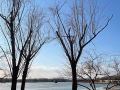 -大兴滨河森林公园