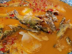 -听香·678茶铺(猛追湾店)