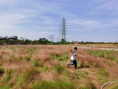 -王借岗森林公园